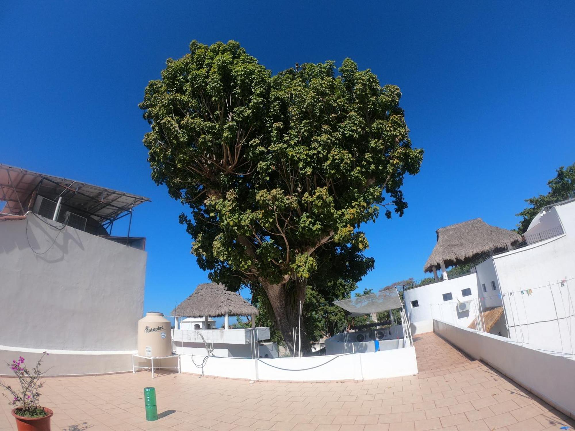 Casa Arbol De Paz Habitacion Doble Chacala  Exterior photo
