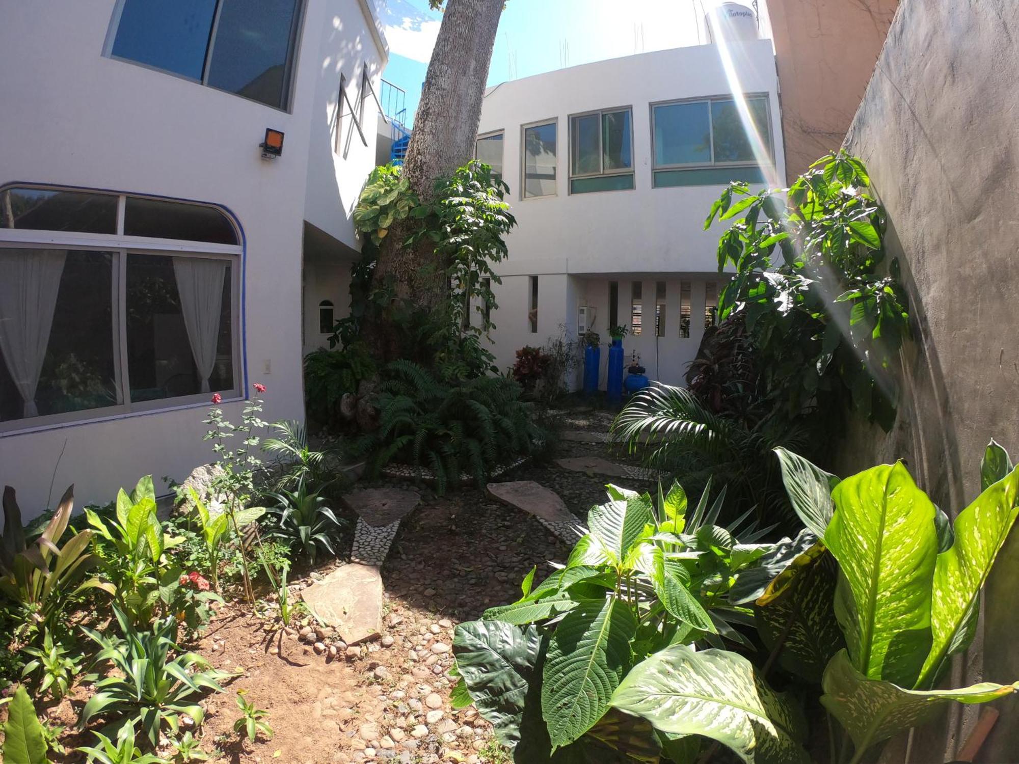 Casa Arbol De Paz Habitacion Doble Chacala  Exterior photo